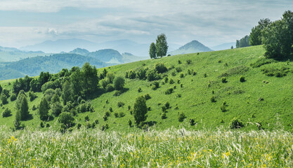 View of a summer day in the mountains, green meadows, mountain slopes and hills, countryside	
