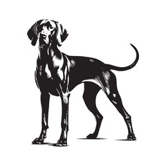 Unique Vizsla silhouette capturing the breed’s athletic stance - Vizsla illustration - minimal Vizsla vector - dog silhouette
