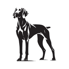 Weimaraner silhouette with a balanced and proportional structure - Weimaraner illustration - minimal Weimaraner vector - dog silhouette

