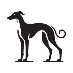 Refined Whippet silhouette perfect for professional branding - Whippet illustration - minimal Whippet vector - dog silhouette
