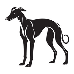 Unique Whippet silhouette for pet lovers and creative designers - Whippet illustration - minimal Whippet vector - dog silhouette
