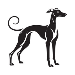 Elegant and defined Whippet silhouette with smooth curves - Whippet illustration - minimal Whippet vector - dog silhouette

