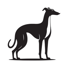 Whippet silhouette with a sharp and distinctive composition - Whippet illustration - minimal Whippet vector - dog silhouette
