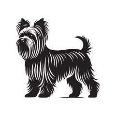 Distinct Yorkshire Terrier silhouette featuring bold and refined details - Yorkshire Terrier illustration - minimal Yorkshire Terrier vector - dog silhouette
