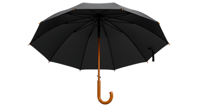 Open Black Umbrella with Wooden Handle for Protection