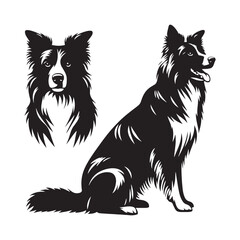 Beautifully crafted Border Collie silhouette for versatile applications - Border Collie illustration - minimal Border Collie vector - dog silhouette
