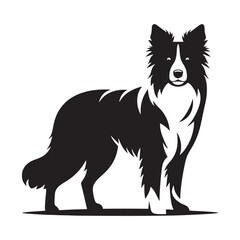 Stylish and modern Border Collie silhouette for artistic branding - Border Collie illustration - minimal Border Collie vector - dog silhouette
