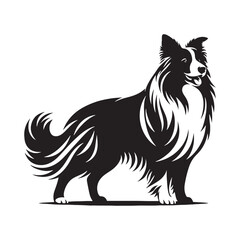 Border Collie silhouette with artistic details and bold composition - Border Collie illustration - minimal Border Collie vector - dog silhouette
