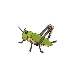 Fototapeta premium Bright green grasshopper with detailed features and playful expression ,isolated on transparent background