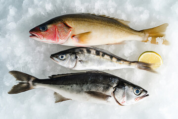 Fototapeta premium Freshly caught fish displayed on ice with lemon slice