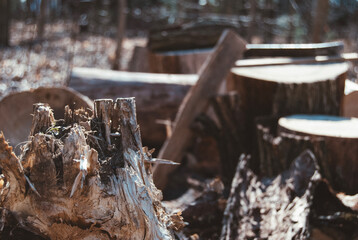 Closeup of a broken piece of wood with cut wood in the background
