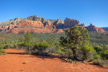 Scenic Sedona Arizona Red Rocks Landscape and Tree