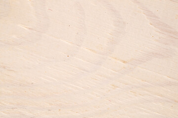 The structure of natural wood sawn into boards and painted, macro, top view.