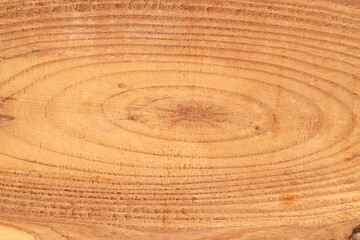 Fototapeta premium The structure of natural wood sawn into boards, macro, top view.