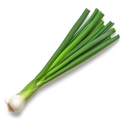 Fototapeta premium Fresh green onions with long stalks, showcasing their crisp texture and healthy appearance.