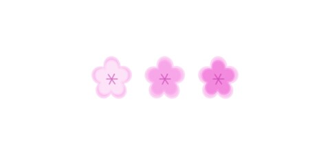 spring pink flower