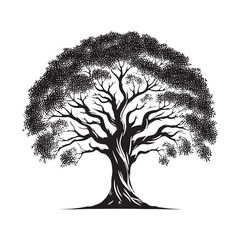 Graceful Banyan Tree silhouette designed for natural and organic themes - Banyan tree illustration - Banyan tree vector - Banyan silhouette

