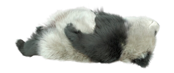 3D Rendering Panda Bear on White © photosvac