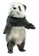 3D Rendering Panda Bear on White © photosvac