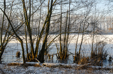 frozen lake in winter