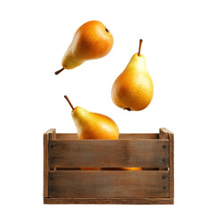 big yellow pears falling into a wooden box, isolated on background