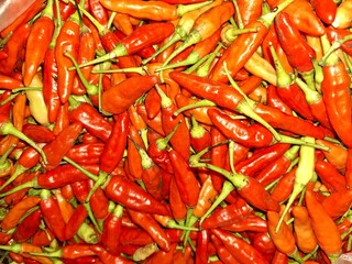 A bag filled with fresh red chili peppers or cabai / cabe rawit merah. Red cayenne pepper.