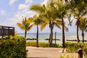 Fototapeta premium A tropical beachfront pathway lined with lush green palm trees leading to the ocean. The bright blue sky and turquoise waters create a perfect summer vacation setting for relaxation and coastal escape