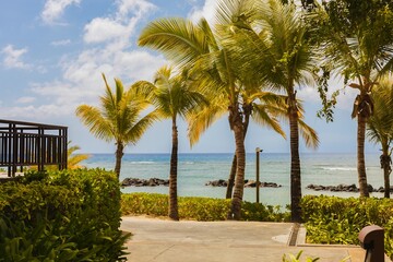 A tropical beachfront pathway lined with lush green palm trees leading to the ocean. The bright...