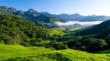 Fototapeta premium Lush green hills under clear blue sky with mountains in the distance