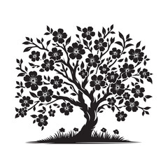 Blossoming cherry tree Silhouette Vector Illustration, Solid White Background.