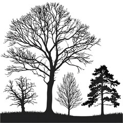 Obraz premium various deciduous trees silhouettes since of evening time.