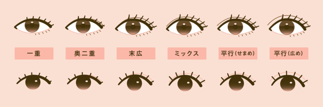 二重の種類のイラスト