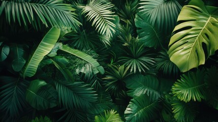 Lush Tropical Greenery: A Deep Dive into Nature's Embrace