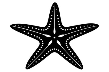 Fototapeta premium sea star silhouette vector illustration