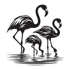 Flamingos standing in water Silhouette Vector Illustration, Solid White Background.