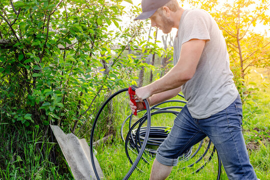 Carrying out drip irrigation. A man cuts a HDPE pipe with a pipe cutter to install irrigation in the garden