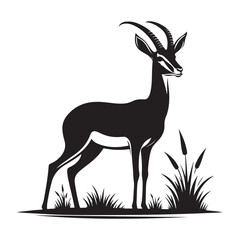 Gazelle looking alert Silhouette Vector Illustration, Solid White Background.
