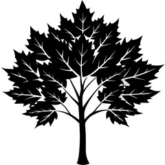 Obraz premium Maple tree silhouette vector illustration.