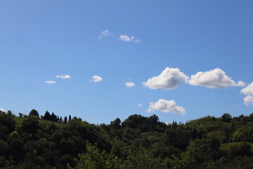 blue clouds over the forest