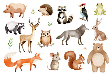 Watercolor woodland animals. Set of hand drawn wild forest animals. Bear, fox, wolf, owl, reindeer, boar, hedgehog.