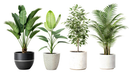 Obraz premium A Home for Greenery sale usa indiana wellbeing abundance PNG file download