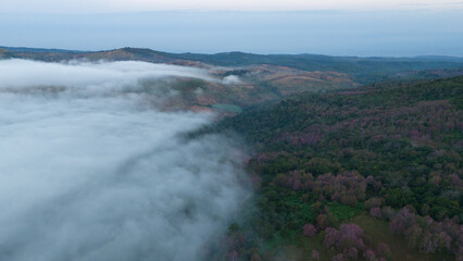 Dense fog and sunrise over the Grand Canyon mountains.