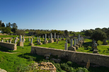 Il complesso archeologico con i resti della Basilica di Damous El Karita, Cartagine. TUNISIA, Area...