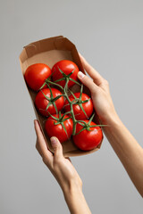 Ripe red tomatoes on vine in cardboard reusable container in hands. Cocktail tomatoes. Fresh organic vegetables, healthy eating, ingredient, eco-friendly packaging concept. Home cooking and food.