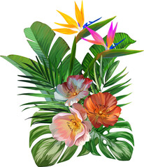 Bouquet of tropical flowers. Hibiscus, paradise flowers. exotic, tropical