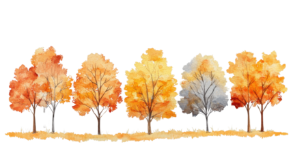 Watercolor painting of five autumn trees on transparent background