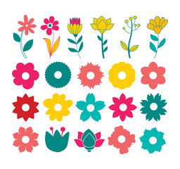 Collection of flowers, Colorful flowers collection, Flower vector Icon set