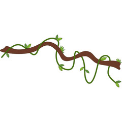Obraz premium Tropical Hanging Vines Liana Branch Frame