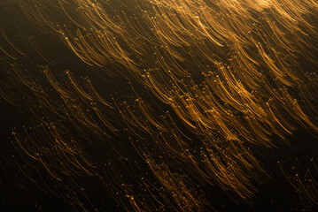 Zamarznięta woda na jeziorze, tekstura lodu. 