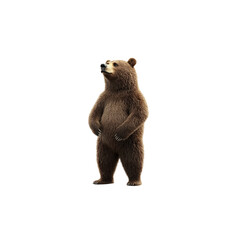 Obraz premium Realistic Brown Bear Standing Upright in a Natural Background